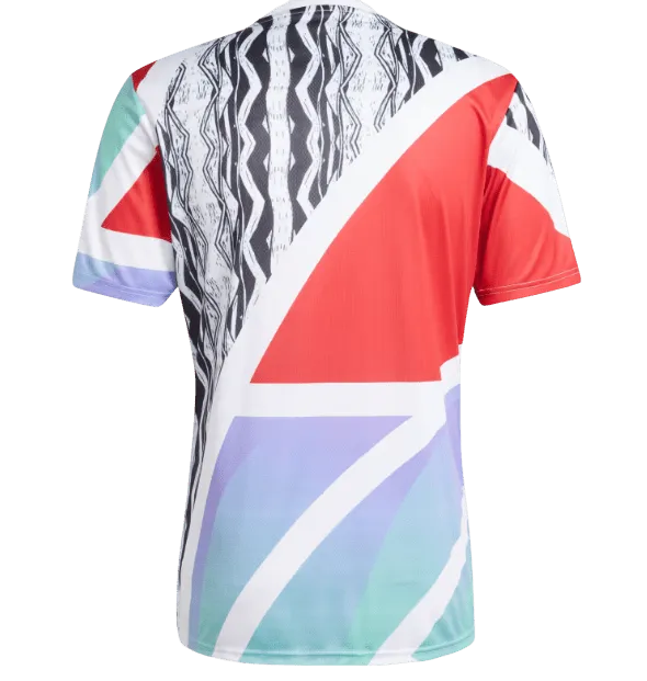 Arsenal 24/25 Pre-Match Jersey (JE7562)