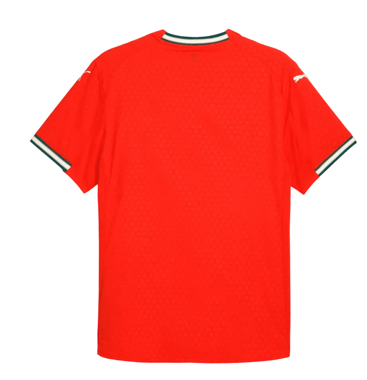Portugal 2025 Home Authentic Jersey (78076601)