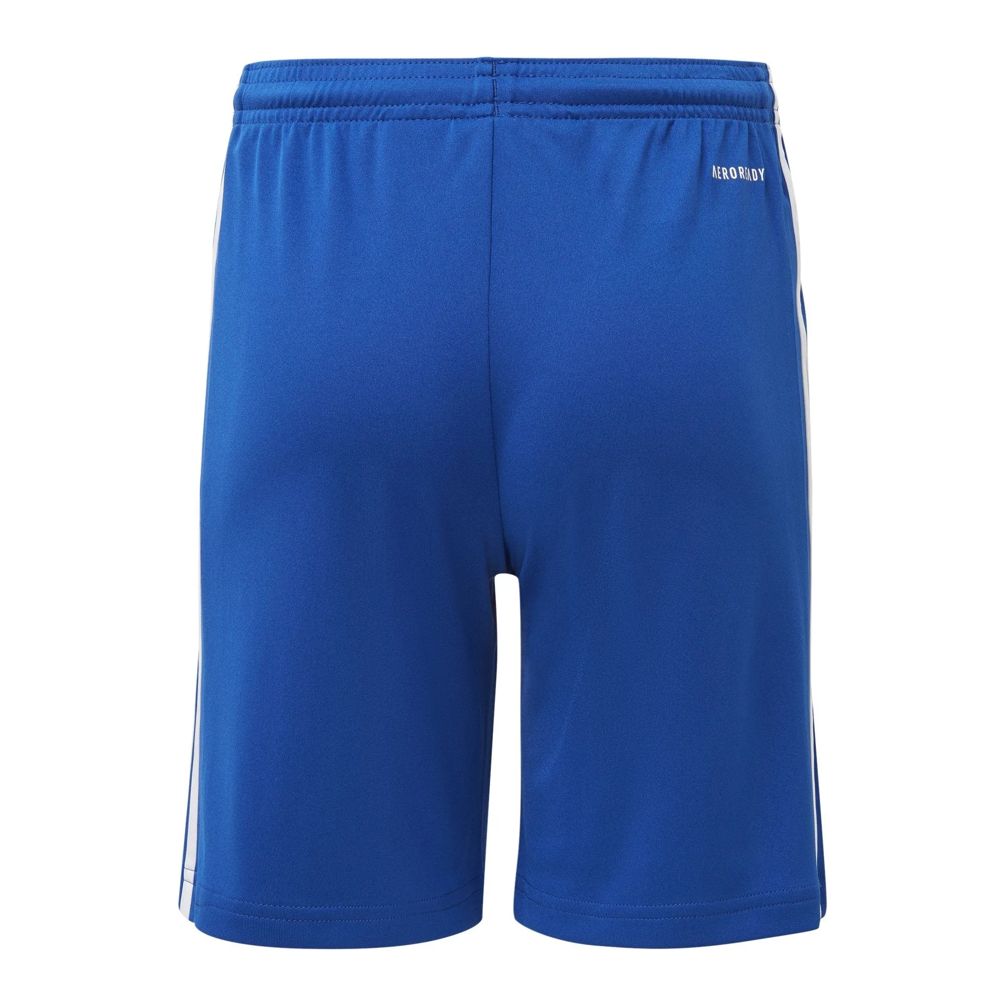 Squadra 21 Youth Shorts (GK9156)