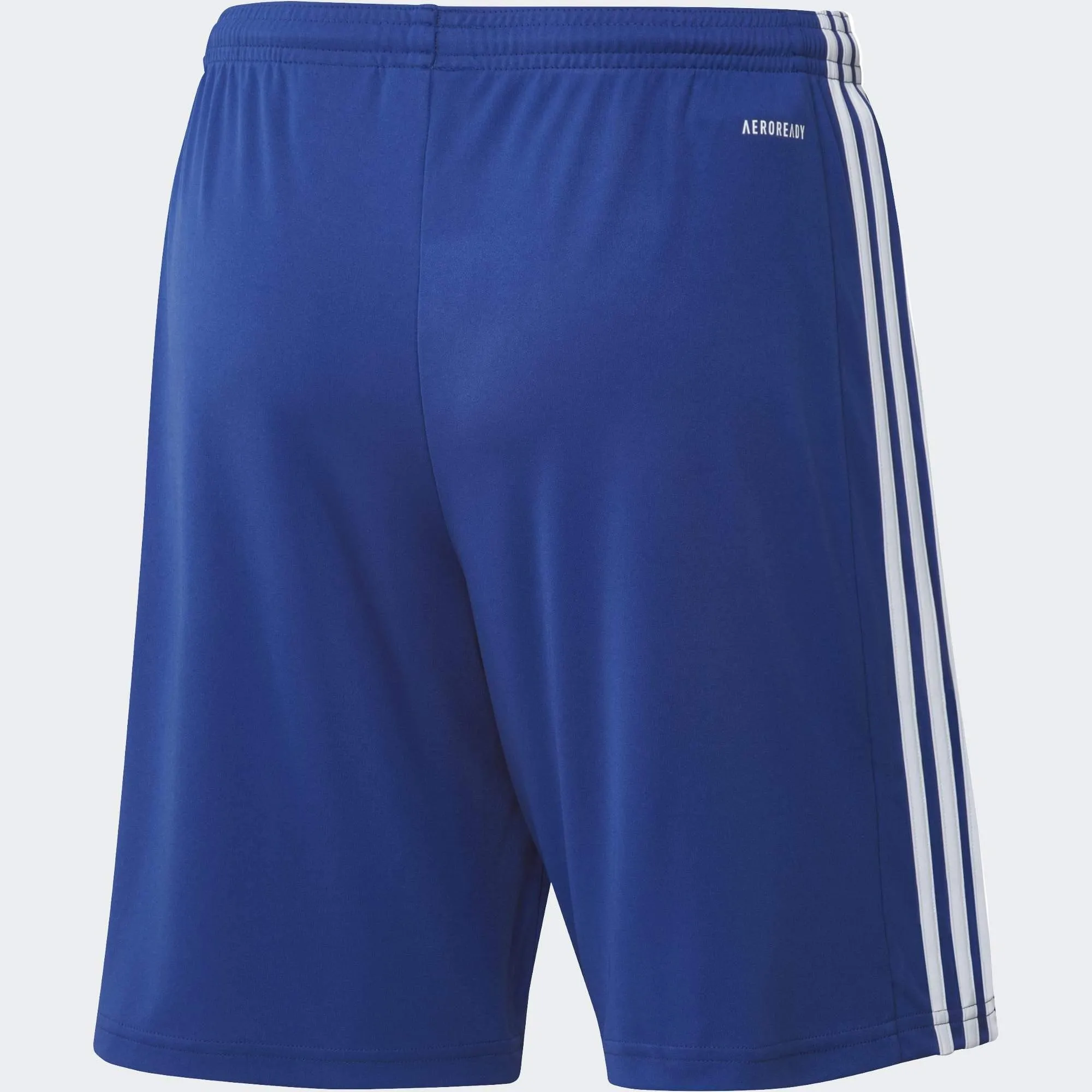 Squadra 21 Youth Shorts (GK9156)
