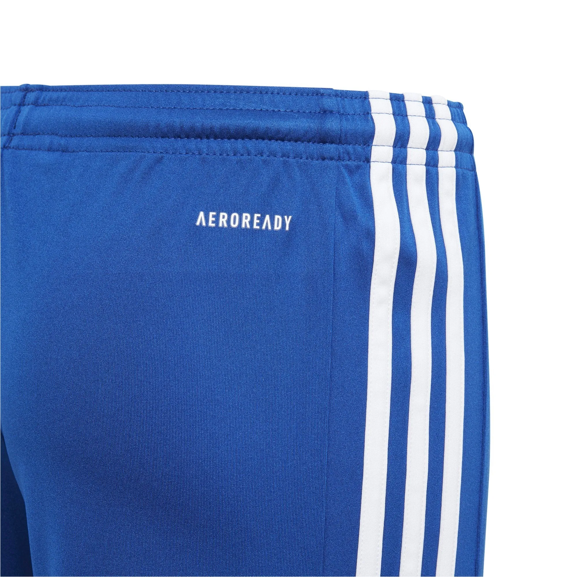 Squadra 21 Youth Shorts (GK9156)