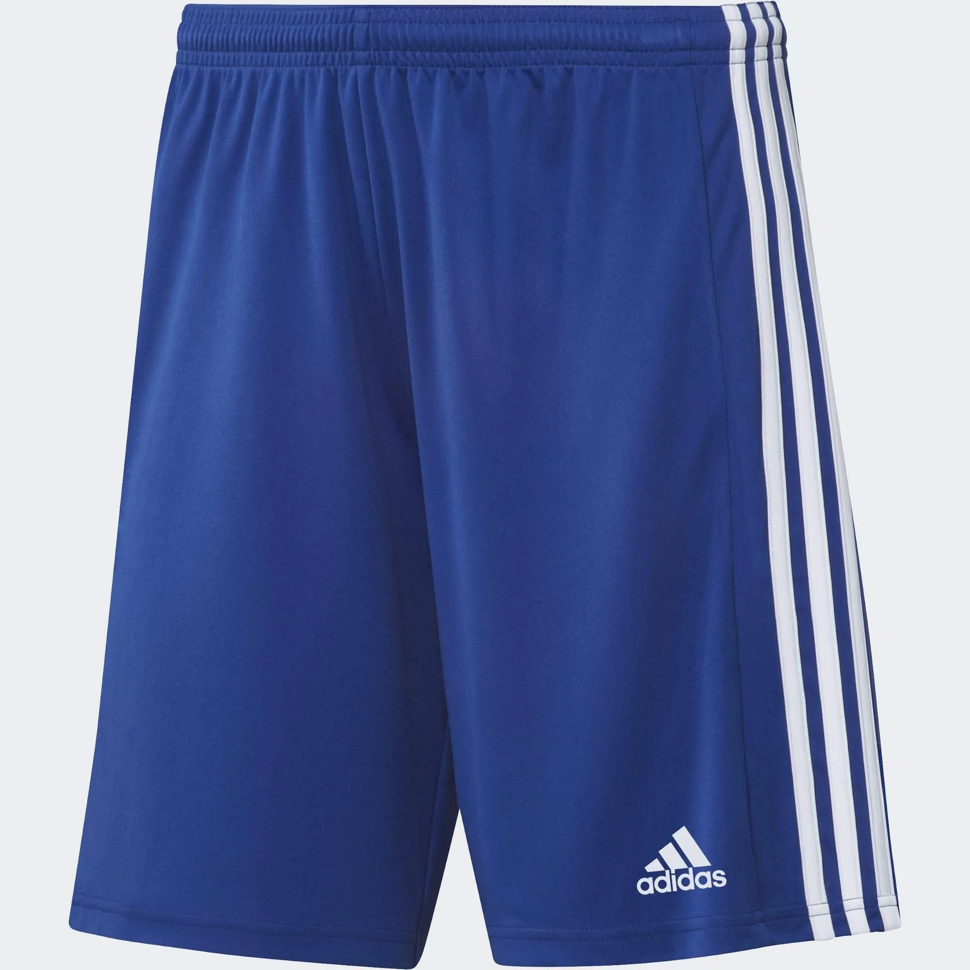 Squadra 21 Youth Shorts (GK9156)